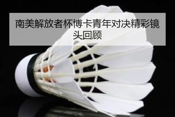 南美解放者杯博卡青年对决精彩镜头回顾