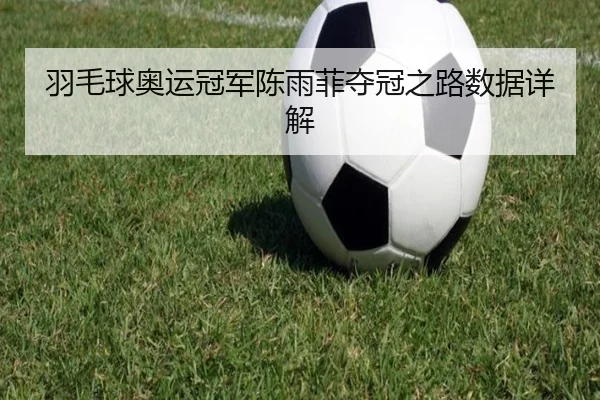 羽毛球奥运冠军陈雨菲夺冠之路数据详解
